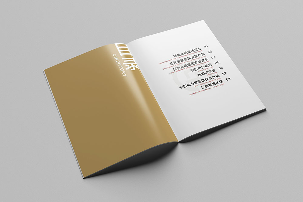 金融企業(yè)畫冊(cè)設(shè)計(jì)-簡約大氣金融畫冊(cè)設(shè)計(jì)