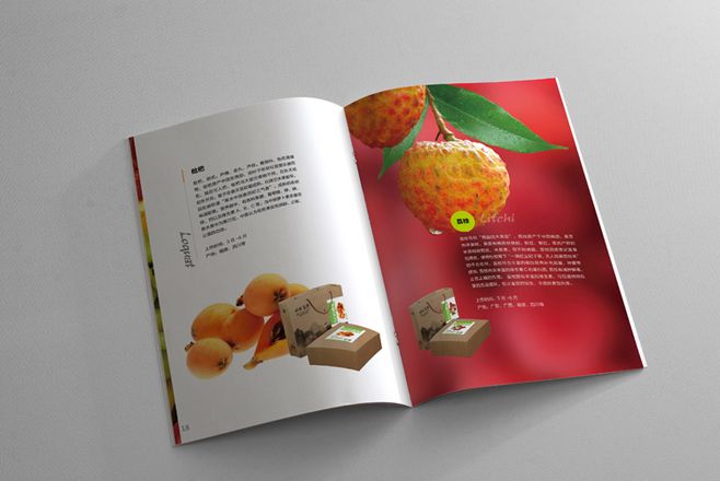 宣傳冊設(shè)計一般一頁多少錢？宣傳冊的特點有哪些？