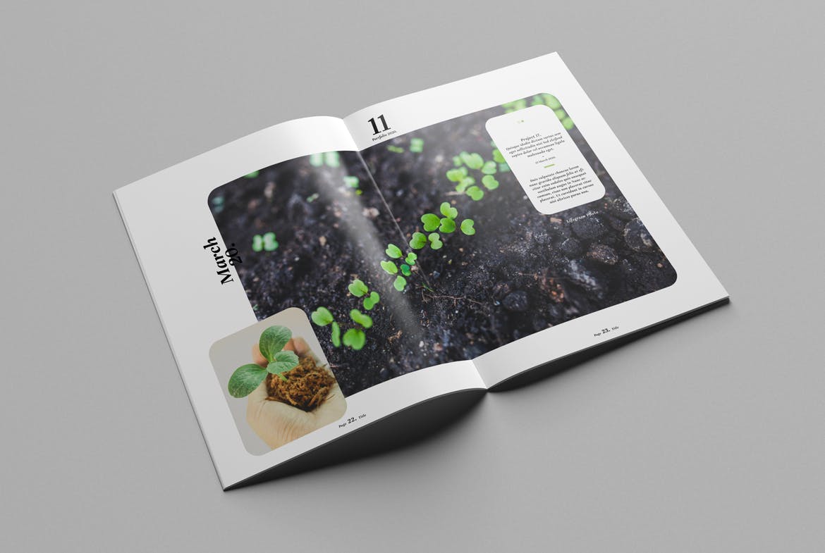 設(shè)計(jì)一本30頁的畫冊費(fèi)用多少