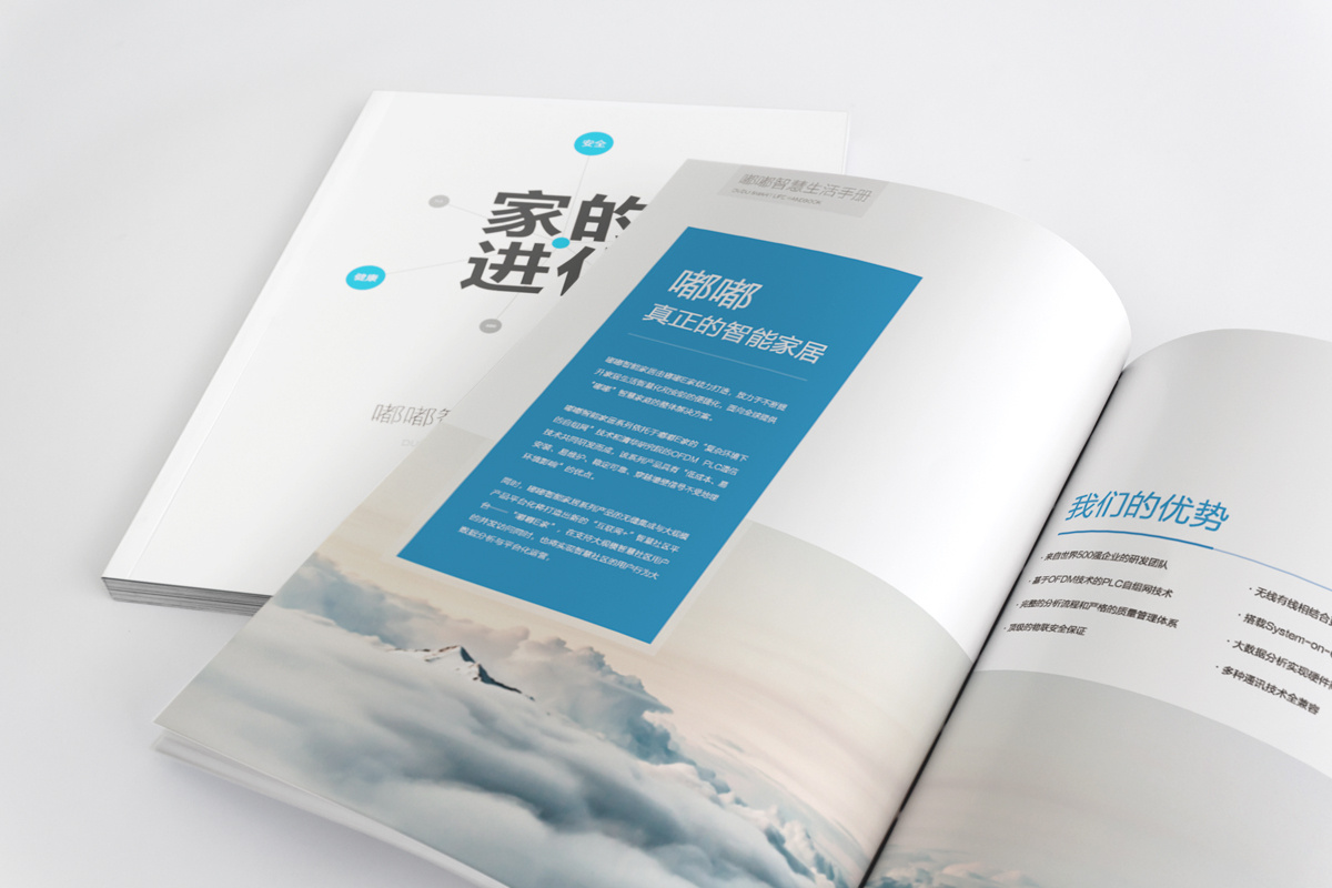 智能家居企業(yè)畫冊設計,智能家居企業(yè)畫冊設計公司