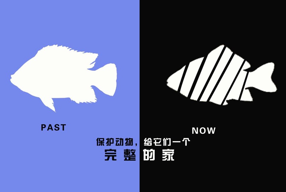 廣告設(shè)計制作有哪些要求？有哪些注意事項？