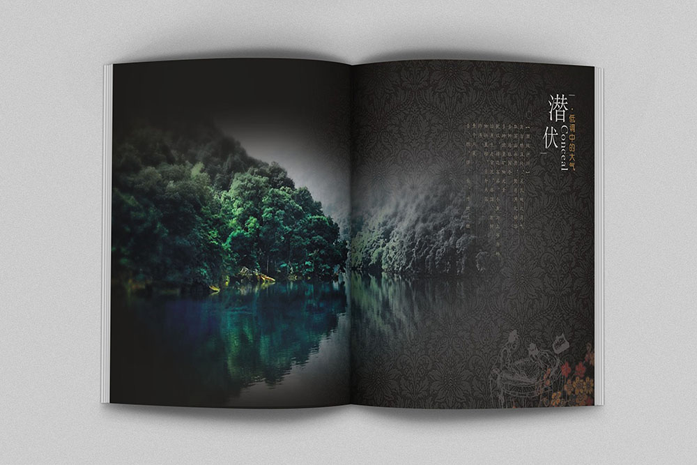 廣州白酒畫冊設(shè)計(jì),廣州紅酒洋酒畫冊設(shè)計(jì),飲品畫冊設(shè)計(jì)公司