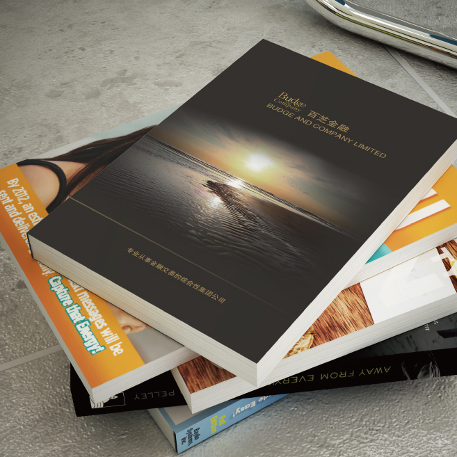 設(shè)計一P 多少費用？設(shè)計一本畫冊設(shè)計費用是多少錢？廣州做一本畫冊需要多少錢？