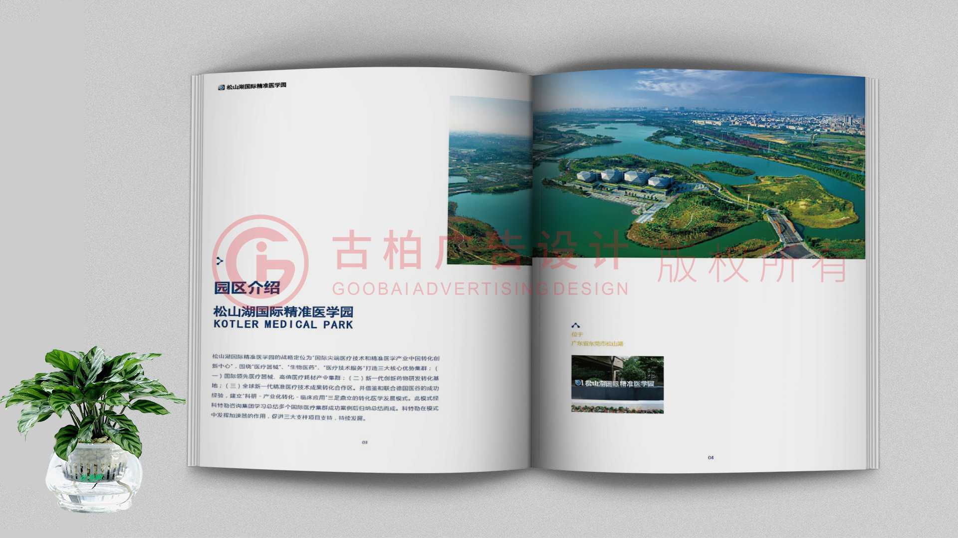 一本聚會(huì)紀(jì)念冊該如何通過排版來提升整體的美觀性？