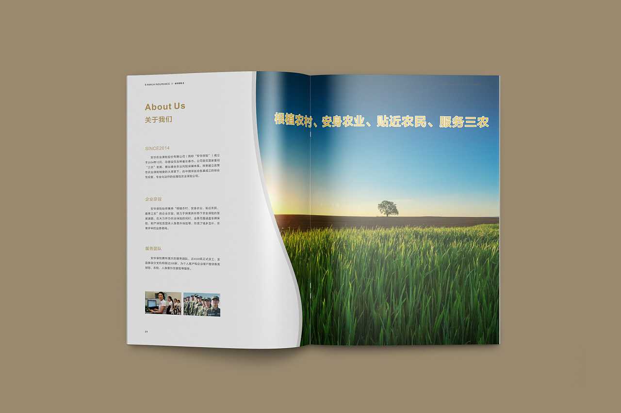 成都企業(yè)為什么要選擇高端宣傳冊設計公司呢？