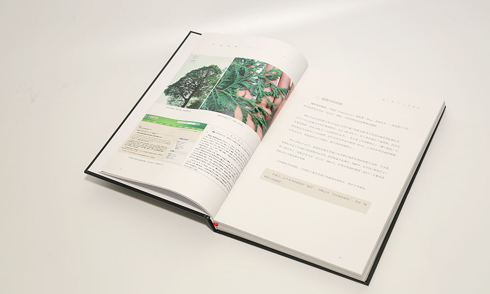 怎么學(xué)畫冊設(shè)計制作多大合適？