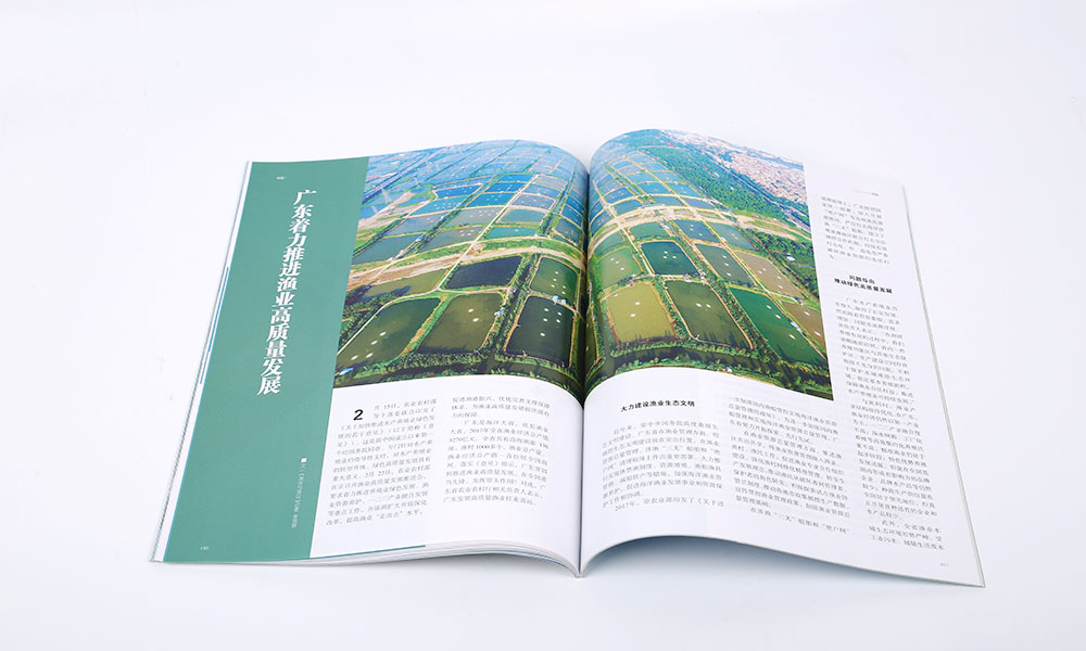一個(gè)宣傳冊(cè)輸出哪里找？