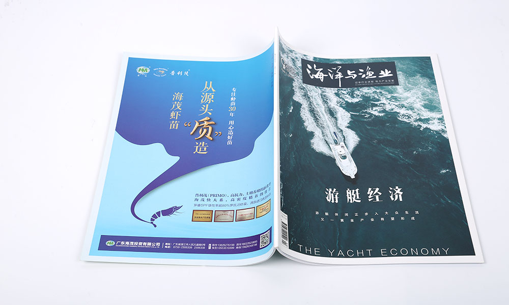設(shè)計畫冊價格比較劃算？